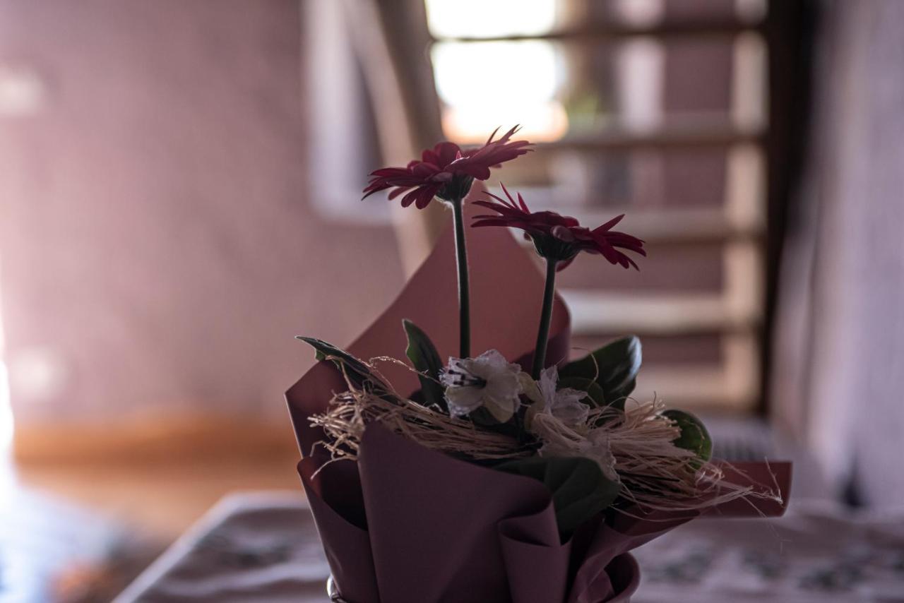 Agribenessere Agli Abatti Barge ภายนอก รูปภาพ